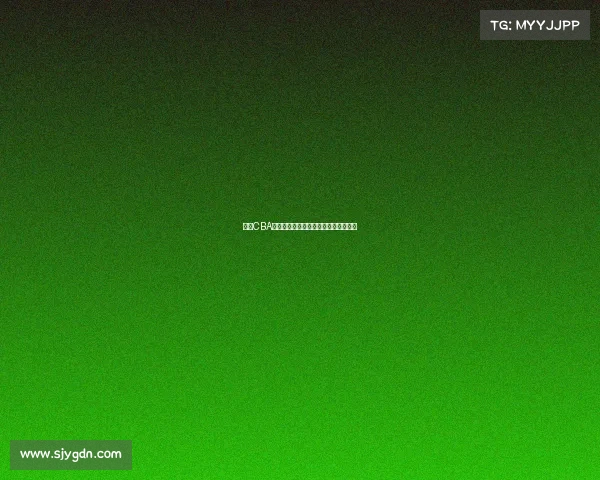 辽宁CBA联赛赛事名单最新公布球员阵容全解析